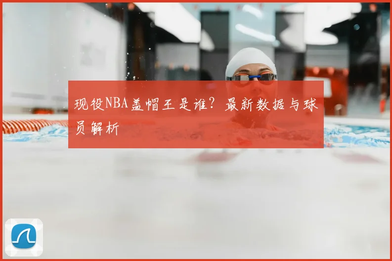 现役NBA盖帽王是谁？最新数据与球员解析