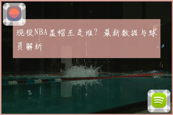 现役NBA盖帽王是谁？最新数据与球员解析