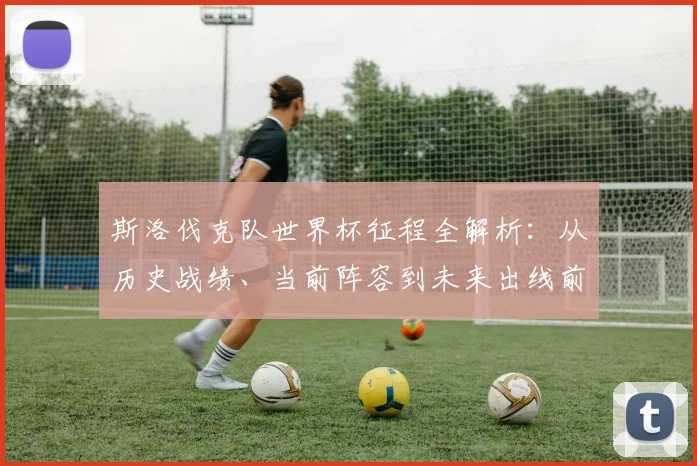 斯洛伐克队世界杯征程全解析：从历史战绩、当前阵容到未来出线前景